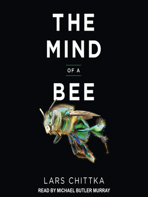 cover image of The Mind of a Bee